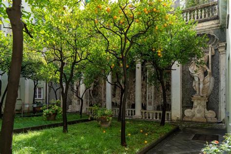 I Giardini di Palazzo Balbi: Un Paradiso Nascosto nel Cuore di Genova!